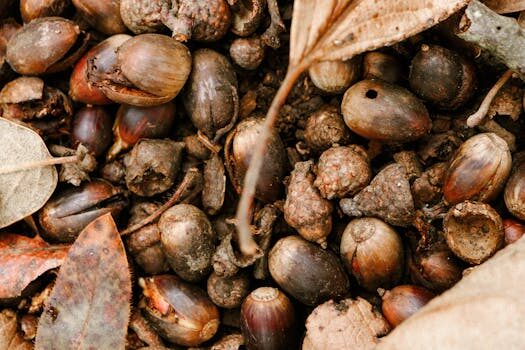 Beyond thread count: what to look for in truly natural bed sheets