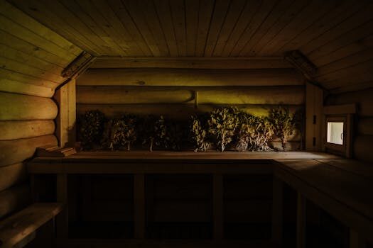 How saunas help to detox your body… and how to choose one for your home