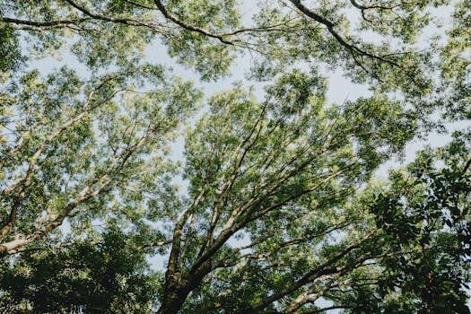 How to choose the best air purifier for your home (the features you need & those you can skip)