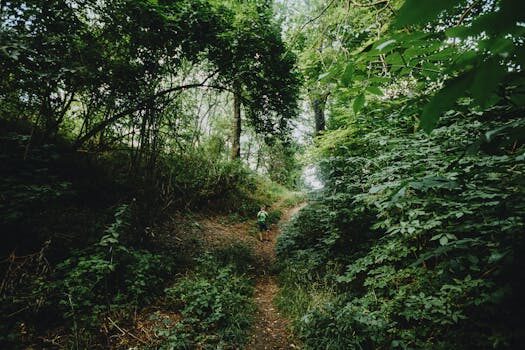 How to choose the best air purifier for your home (the features you need & those you can skip)