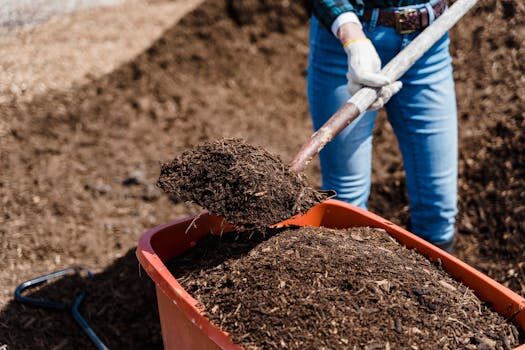 How to compost biodegradable diapers