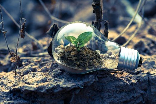 How to safely clean up and dispose of a broken fluorescent light bulb