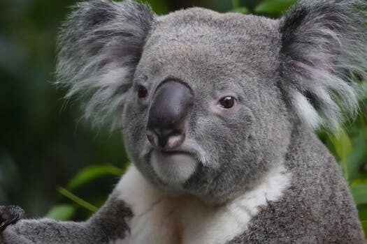 Interview with the Founder of DefenderShield EMF Protection, Daniel DeBaun