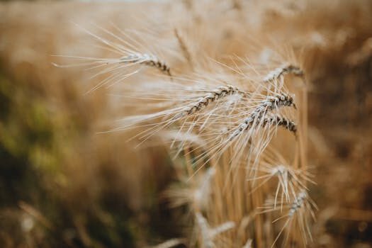 Think outside the box: swap out processed foods with real food, one step at a time